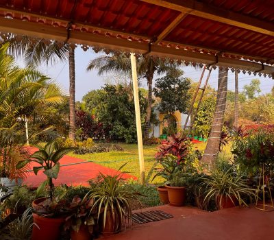 WhatsApp Image 2026-02-25 at 20.24.38 (1)